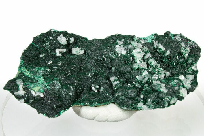 Cerussite Crystals on Sparkling Botryoidal Malachite - Congo #303858